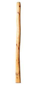 Medium Size Natural Finish Didgeridoo (TW1635)